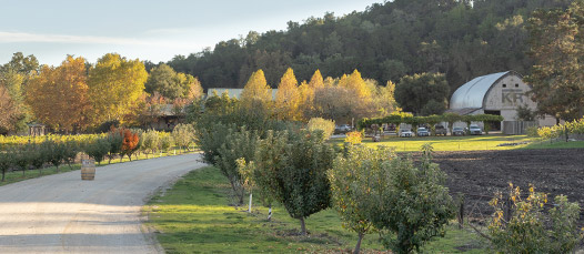 Paso Robles Wine Tasting Room