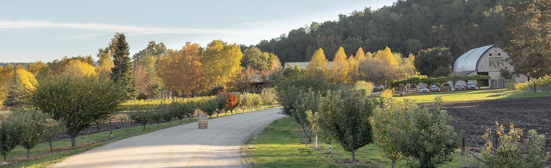 Visit the Vineyard Drive Winery