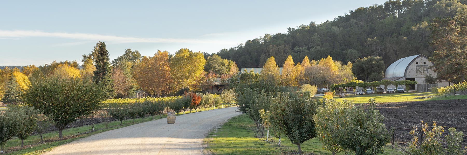 Paso Robles Wine Tasting Room